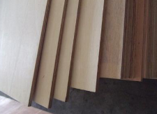 ����ľҵ��ͯ��ר����̬�壬�����ӵĳɳ����ǰ�������